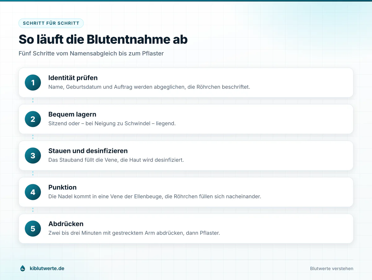 So läuft die Blutentnahme ab Schrittfolge der Blutabnahme mit Identitätsprüfung, Lagerung, Stauen, Punktion und Abdrücken der Einstichstelle