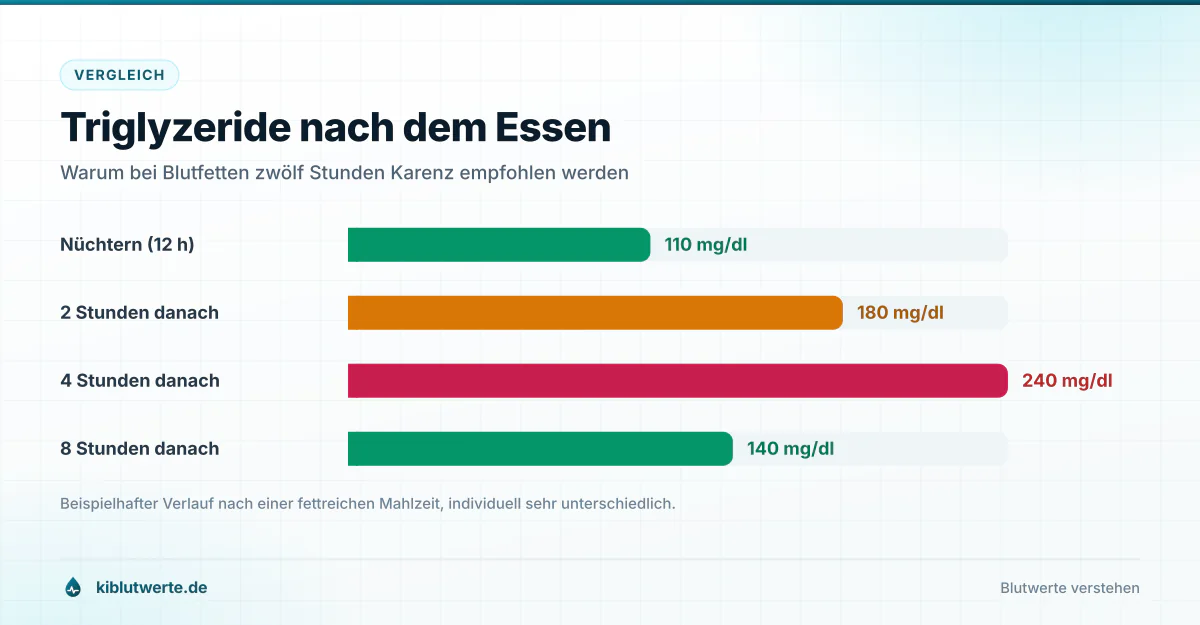 Triglyzeride nach dem Essen Balkendiagramm der Triglyzeride nüchtern und zwei, vier sowie acht Stunden nach einer fettreichen Mahlzeit in mg/dl