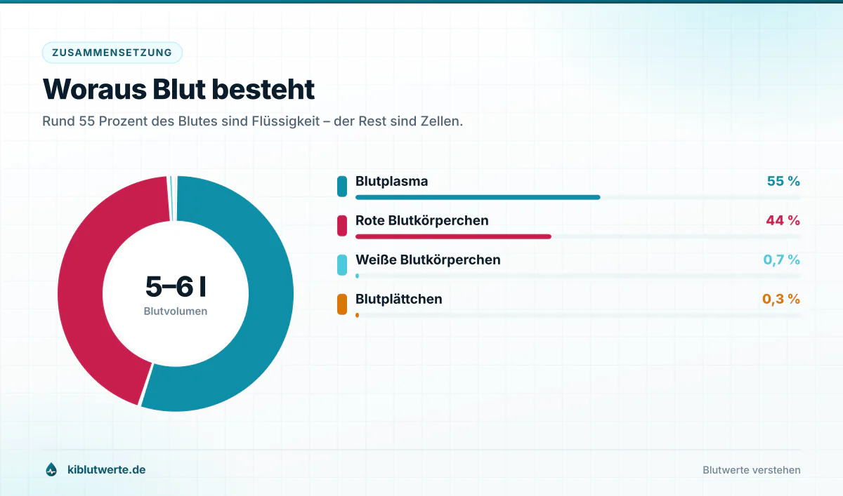 Woraus Blut besteht Ringdiagramm der Blutbestandteile mit 55 Prozent Blutplasma, 44 Prozent roten Blutkörperchen und einem Prozent weißen Blutkörperchen und Blutplättchen