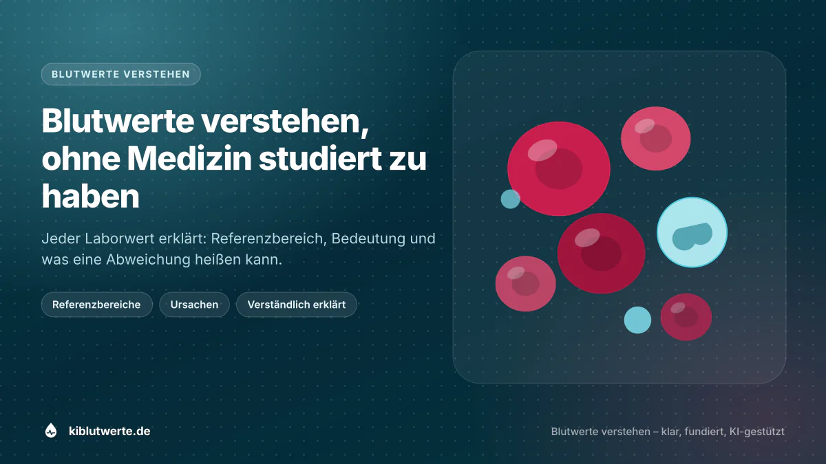 Blutwerte verstehen, ohne Medizin studiert zu haben Titelgrafik von KI Blutwerte mit roten Blutkörperchen und weißem Blutkörperchen zum Thema Blutwerte verstehen und Laborbefund einordnen