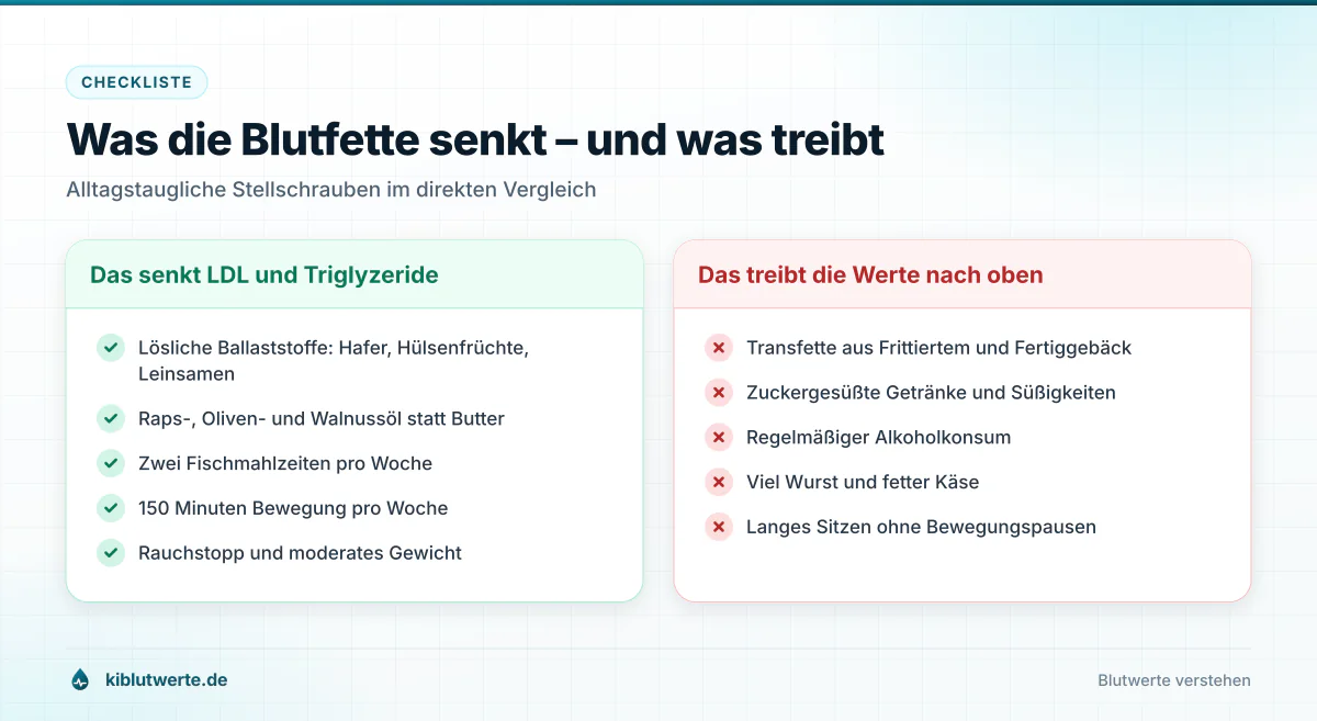 Was die Blutfette senkt – und was treibt Checkliste in zwei Spalten mit Maßnahmen, die Cholesterin und Triglyzeride senken, und Gewohnheiten, die die Werte erhöhen