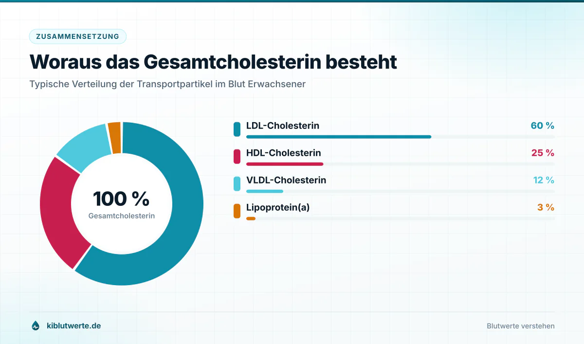 Woraus das Gesamtcholesterin besteht Ringdiagramm zur Verteilung des Gesamtcholesterins auf LDL, HDL, VLDL und Lipoprotein(a) mit Prozentangaben