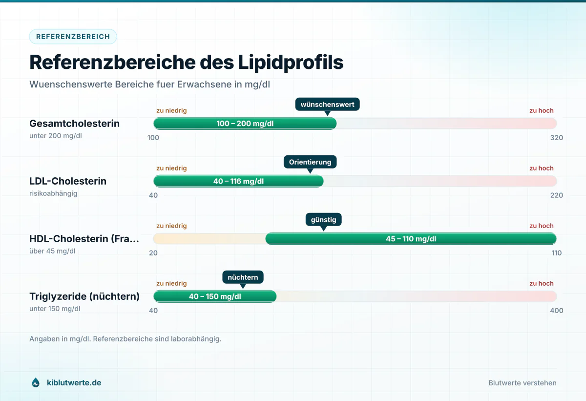 Referenzbereiche des Lipidprofils Skalendiagramm mit den wünschenswerten Bereichen für Gesamtcholesterin, LDL, HDL und Triglyzeride in Milligramm pro Deziliter