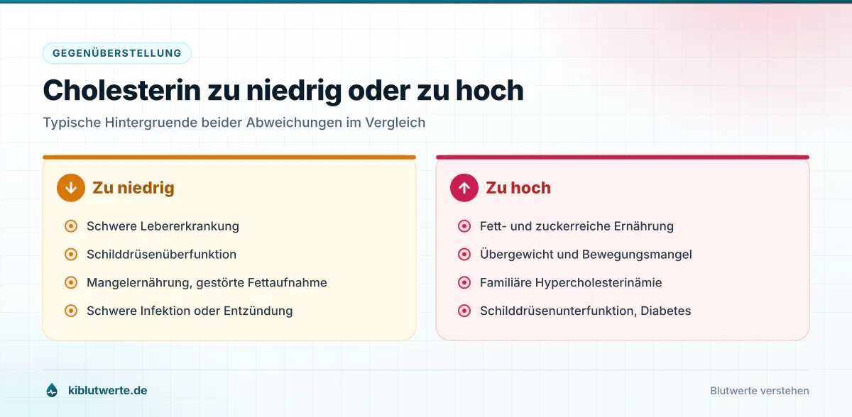 Cholesterin zu niedrig oder zu hoch Gegenüberstellung typischer Ursachen für zu niedrige und zu hohe Cholesterinwerte in zwei Spalten
