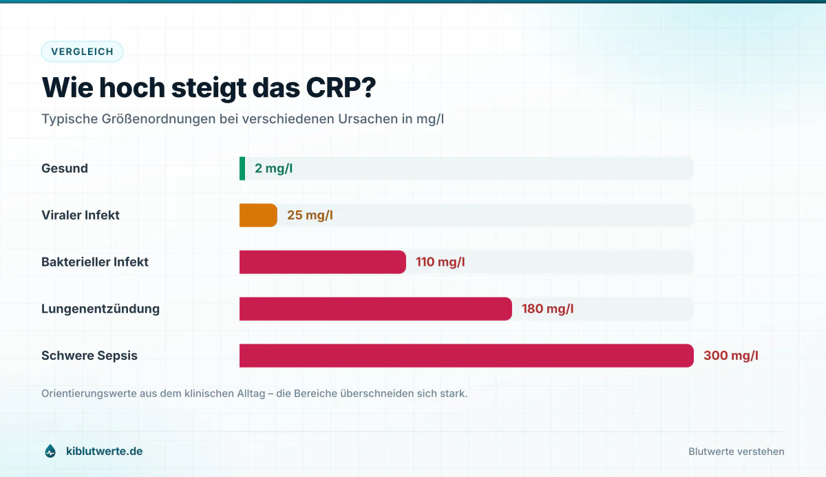 Balkendiagramm zum CRP Wert mit Vergleich von Gesunden, viralem und bakteriellem Infekt, Lungenentzündung und Sepsis
