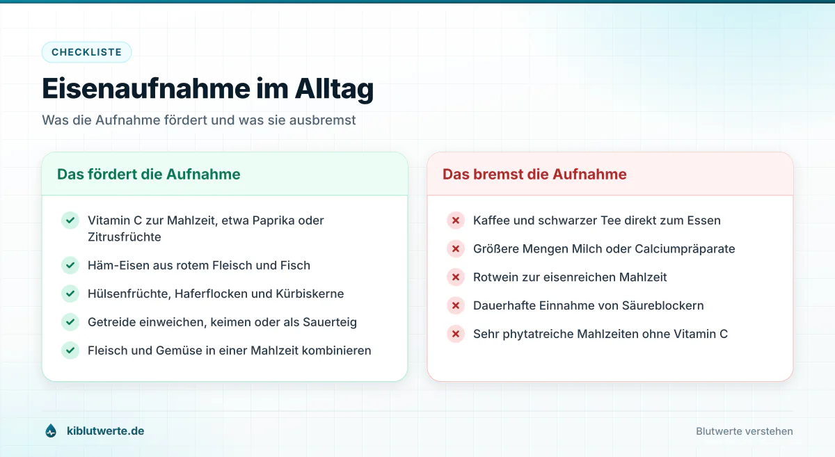 Eisenaufnahme im Alltag Checkliste mit zwei Spalten zu Lebensmitteln und Gewohnheiten, die die Eisenaufnahme fördern oder hemmen