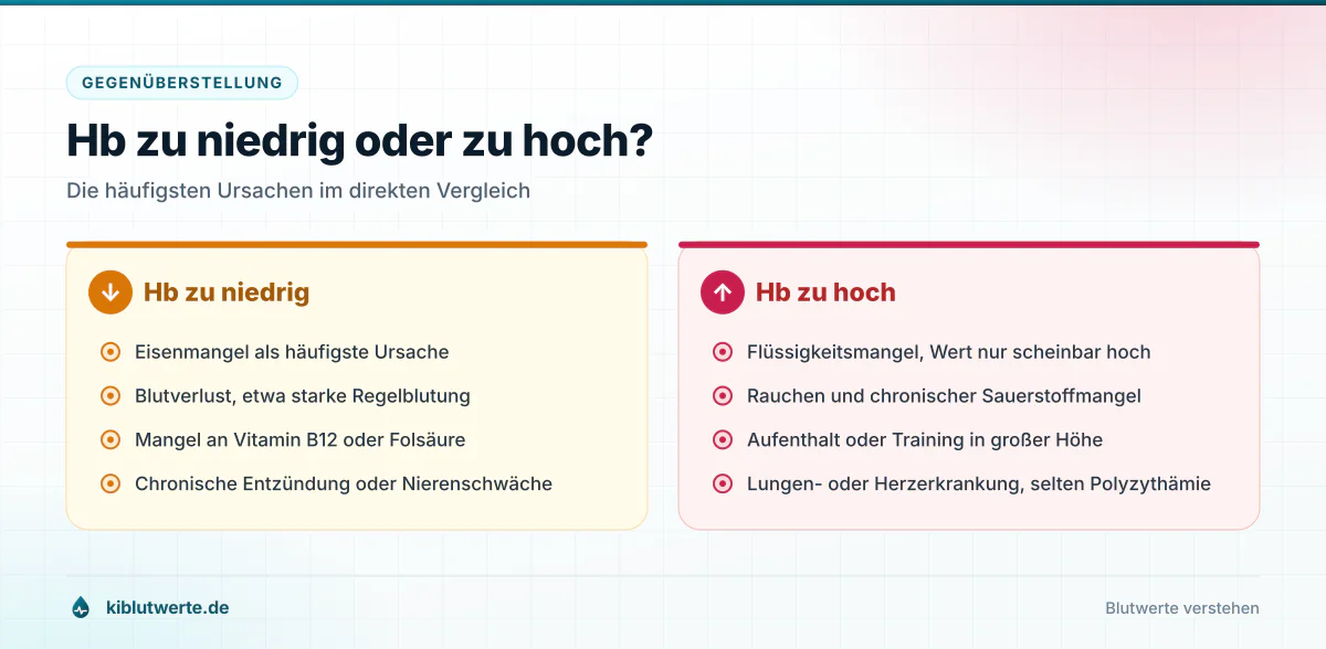 Hb zu niedrig oder zu hoch? Gegenüberstellung der Ursachen für einen zu niedrigen und einen zu hohen Hämoglobin Wert in zwei farbigen Spalten