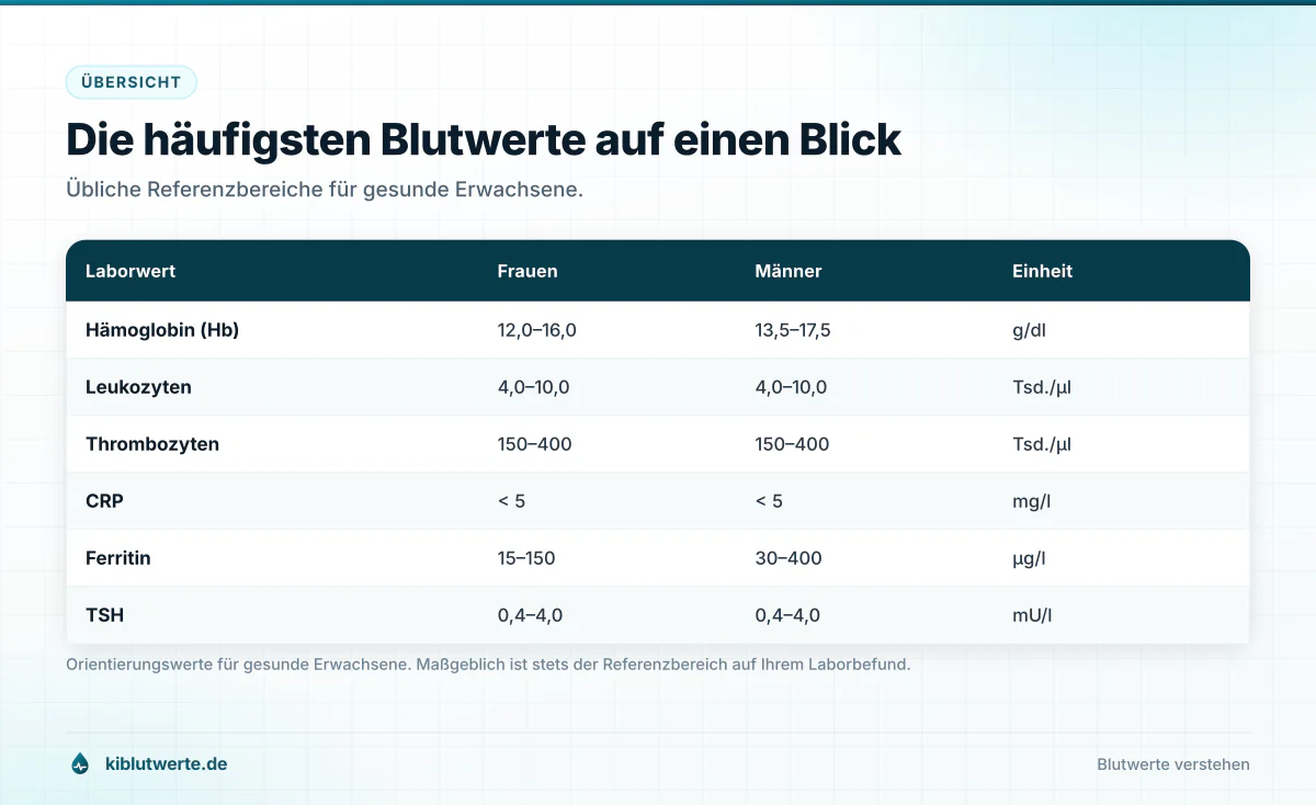 Die häufigsten Blutwerte auf einen Blick Tabelle mit Referenzbereichen häufiger Blutwerte wie Hämoglobin, Leukozyten, Thrombozyten, CRP, Ferritin und TSH für Frauen und Männer