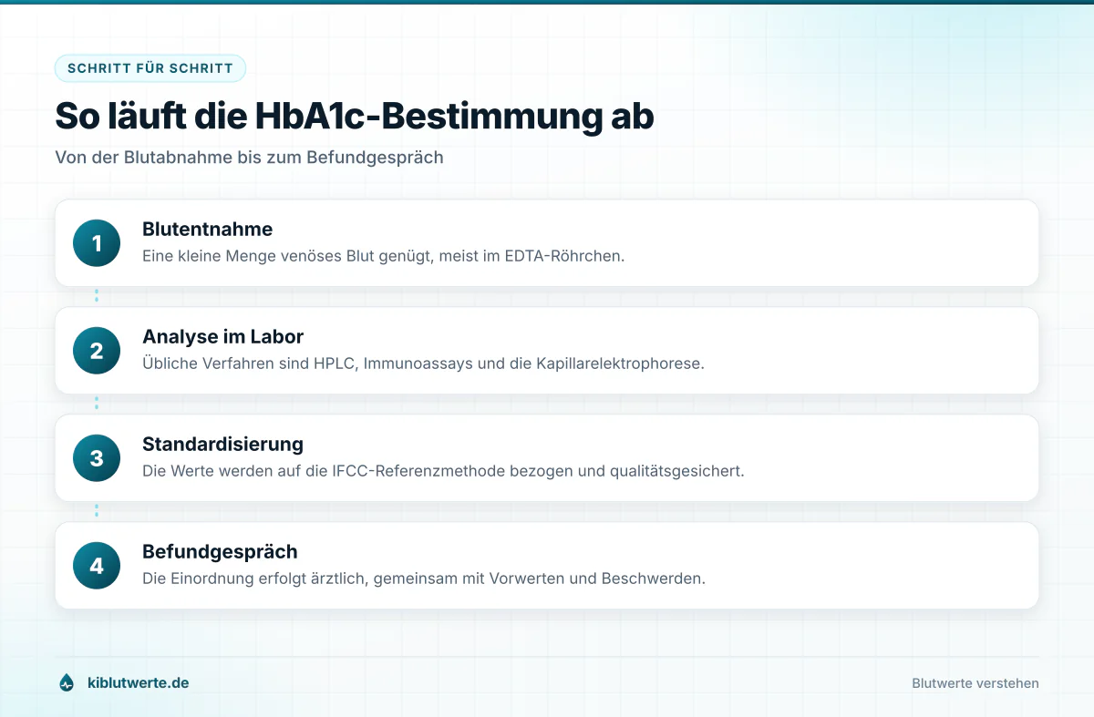 So läuft die HbA1c-Bestimmung ab Ablaufgrafik der HbA1c Bestimmung in vier Schritten von der Blutabnahme über die Laboranalyse bis zum Gespräch