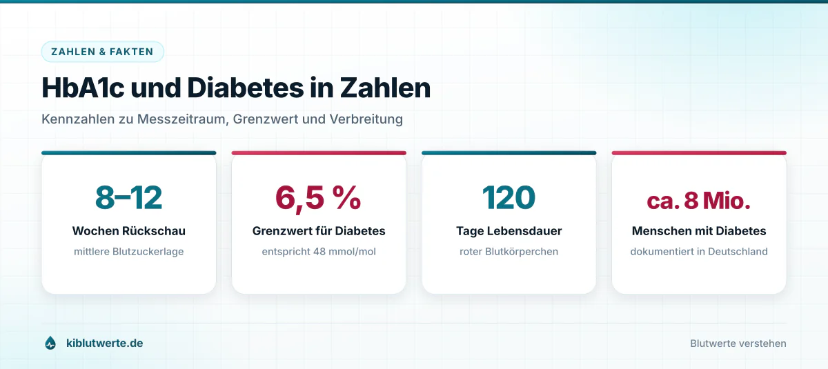 HbA1c und Diabetes in Zahlen Infografik mit vier Kennzahlen zum HbA1c Wert: Messzeitraum, Grenzwert, Lebensdauer roter Blutkörperchen und Verbreitung