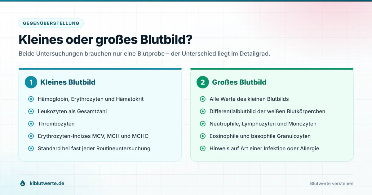Kleines oder großes Blutbild? Gegenüberstellung von kleinem und großem Blutbild mit den jeweils enthaltenen Laborwerten in zwei Spalten