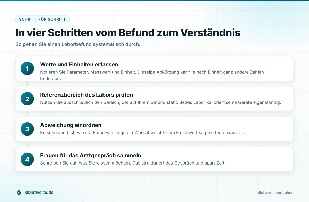 In vier Schritten vom Befund zum Verständnis Ablaufgrafik in vier Schritten zum Verstehen eines Laborbefunds von der Blutabnahme bis zum Arztgespräch