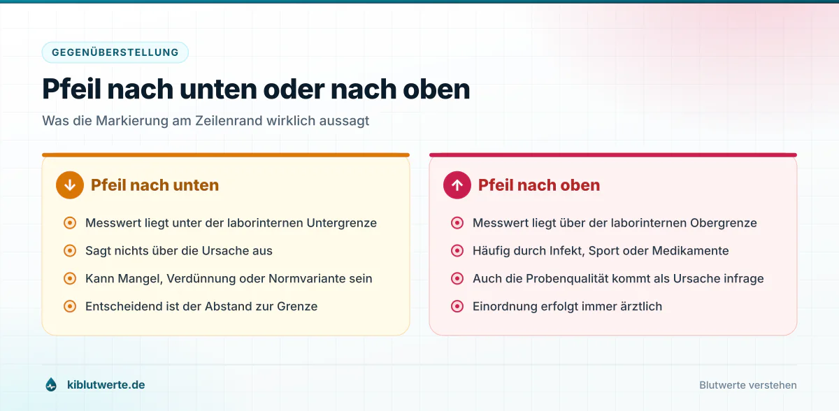 Pfeil nach unten oder nach oben Gegenüberstellung zum Laborbefund lesen: links Pfeil nach unten, rechts Pfeil nach oben mit ihrer jeweiligen Bedeutung