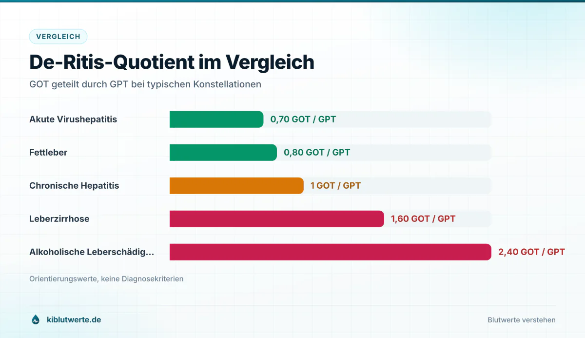 De-Ritis-Quotient im Vergleich Balkendiagramm des De-Ritis-Quotienten aus GOT geteilt durch GPT bei Fettleber, Hepatitis, Zirrhose und Alkoholschaden