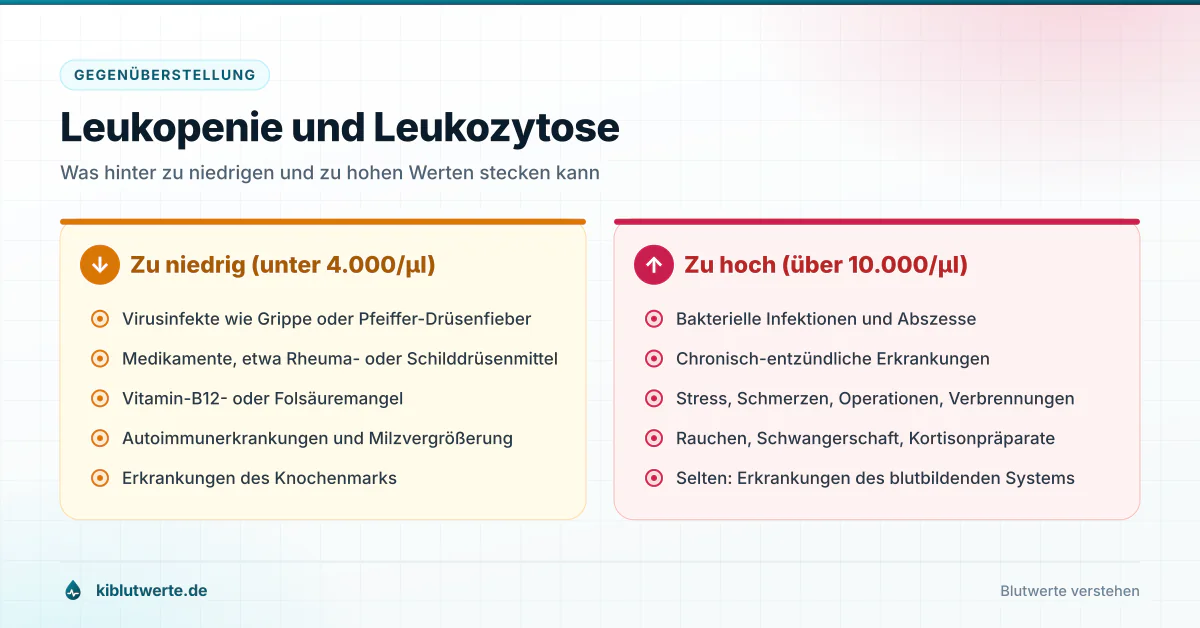 Leukopenie und Leukozytose Gegenüberstellung von Leukopenie und Leukozytose mit typischen Ursachen für zu niedrige und zu hohe Leukozyten
