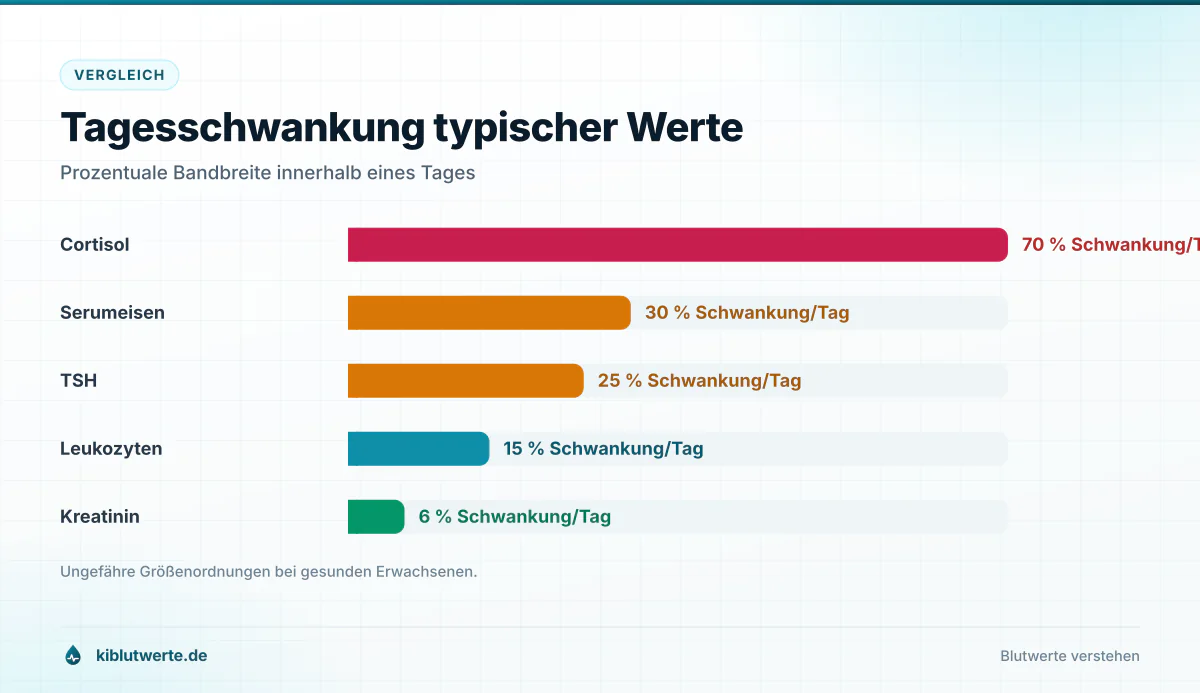 Tagesschwankung typischer Werte Balkendiagramm zur Tagesschwankung von Referenzwerte Blut mit Cortisol, Serumeisen, TSH und Kreatinin im Vergleich