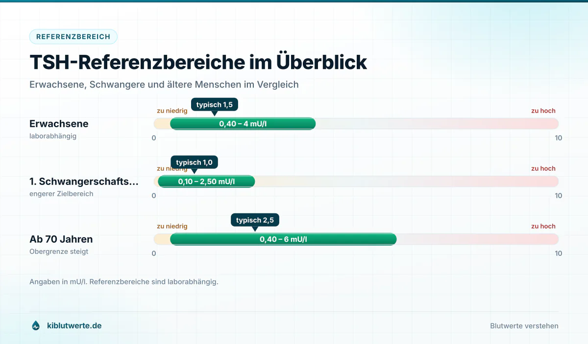 TSH-Referenzbereiche im Überblick Skala mit TSH-Referenzbereichen in Milliunits pro Liter für Erwachsene, das erste Schwangerschaftsdrittel und Ältere